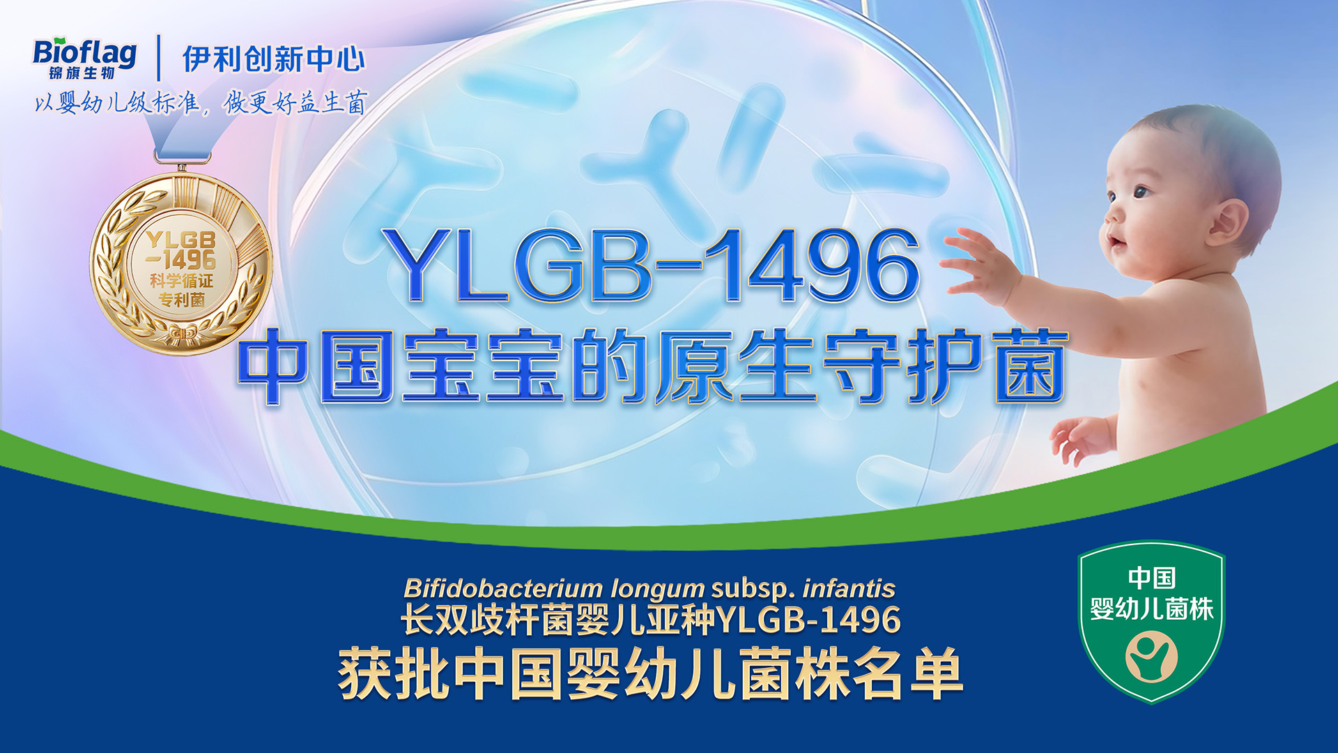 双冠加冕！YLGB-1496获婴幼儿菌株认证，锦旗生物引领国产益生菌新高度